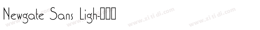 Newgate Sans Ligh字体转换